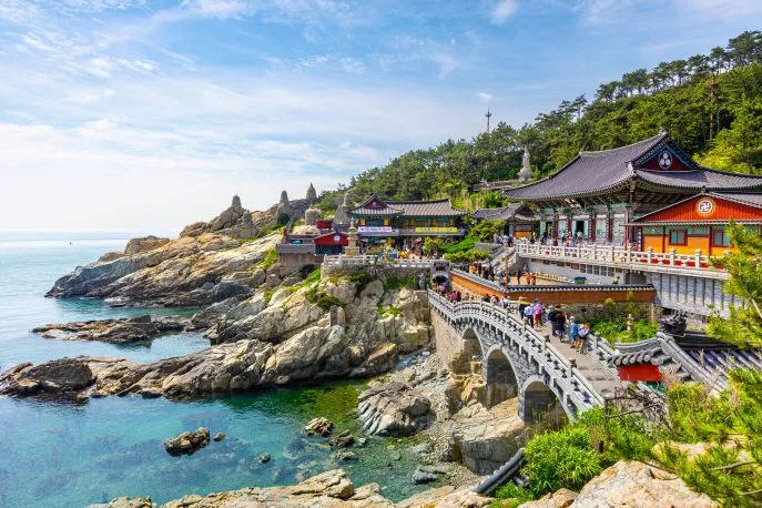 dimsum reizen naar busan