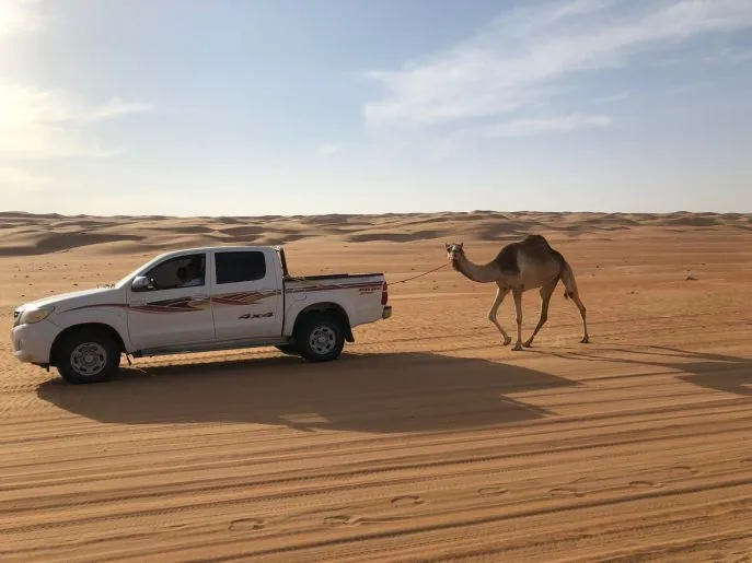 wahiba sands 3