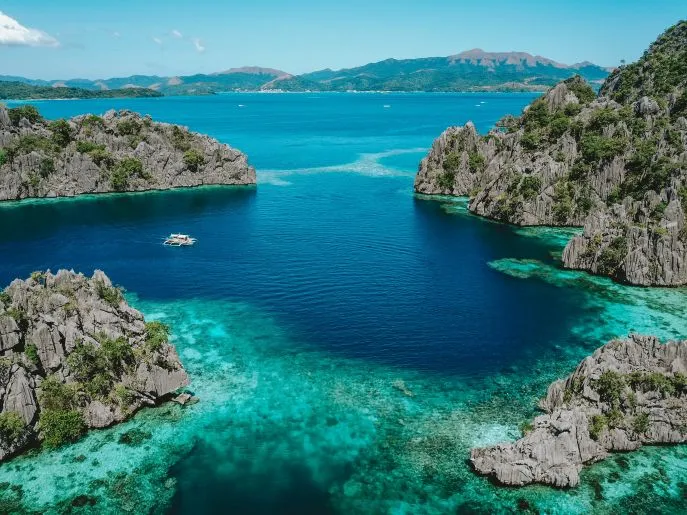 el nido dimsum reizen