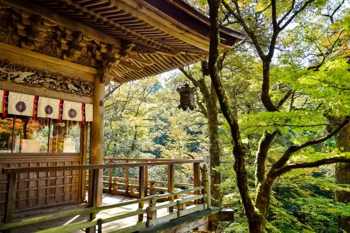 japan landschap dimsum reizen 3
