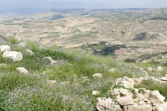 jordanie landschap dimsum rondreizen