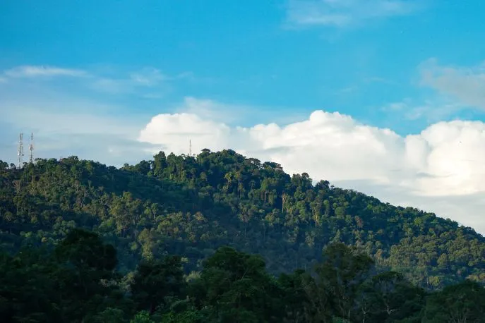 sumatra banyak islands dimsum reizen