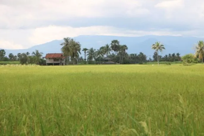 kep kampot plattelandsexcursie
