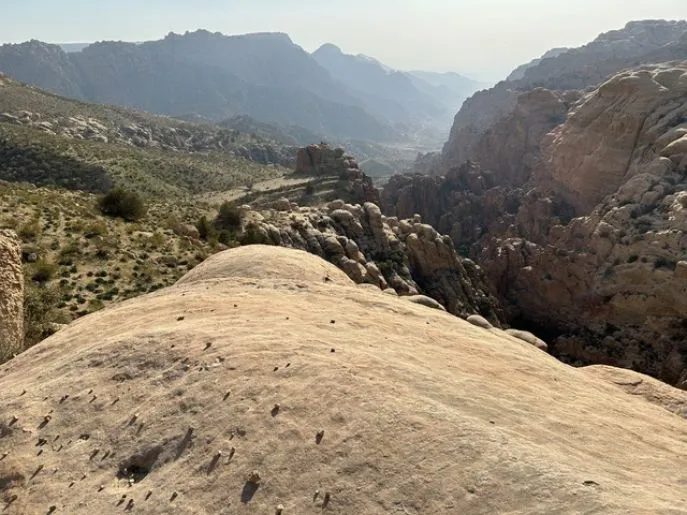 jordanie dana 5
