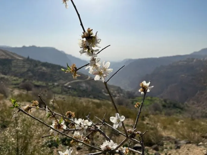 jordanie dana 1