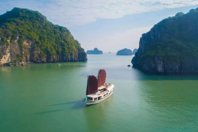 prince junk bai tu long bay dimsum reizen