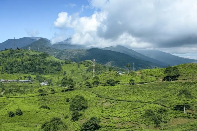puncak pass indonesie java bandung dimsum reizen
