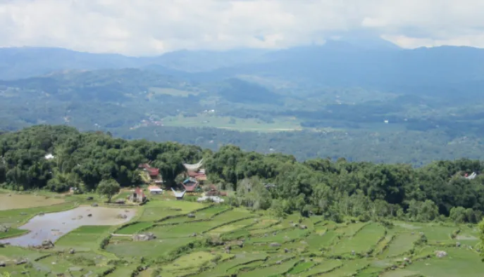 batutumonga sulawei dimsum reizen toraja