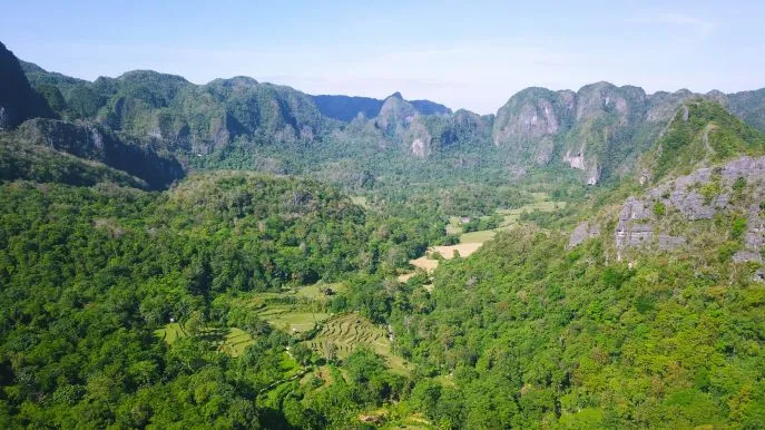 toraja sulawesi indonesi dimsum reizen