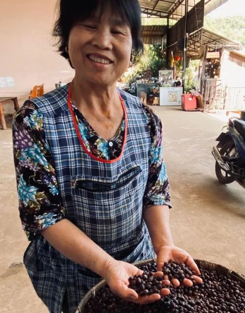 koffie in noord thailand Chiang Mai