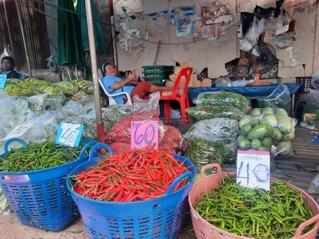 isaan-region-thailand-markt-und-zug-reise