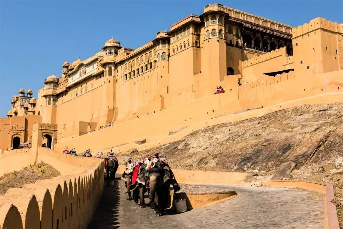 13 india dimsum amber fort jaipur