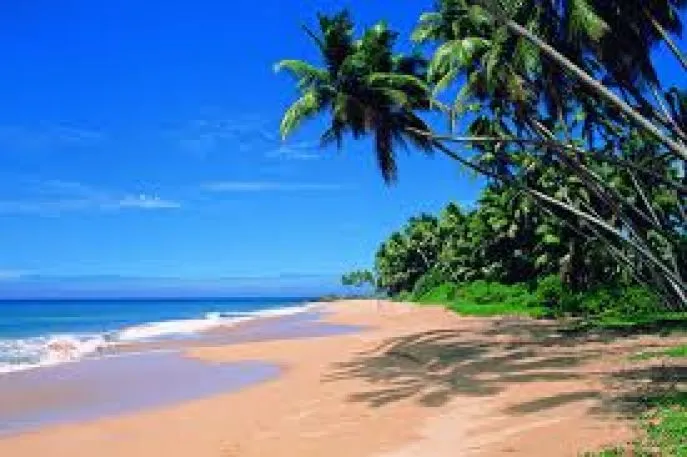 goa india dimsum reizen 7