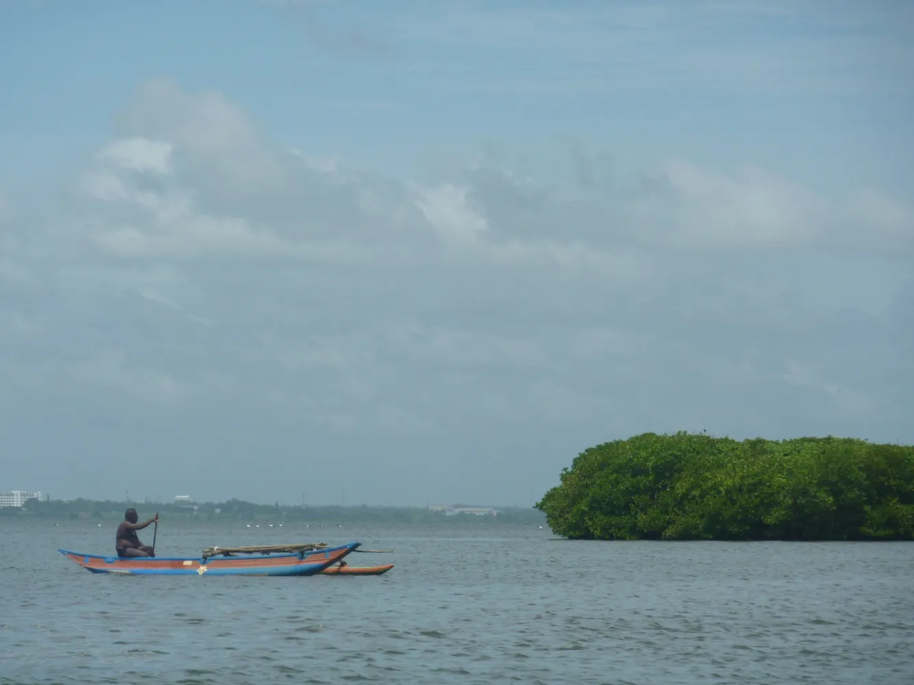 Negombo catamaran visser mangrovebos.JPG
