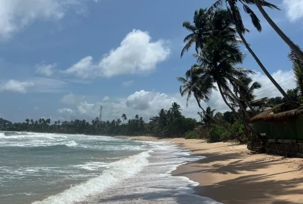 Sri Lanka Mirissa strand palmbomen