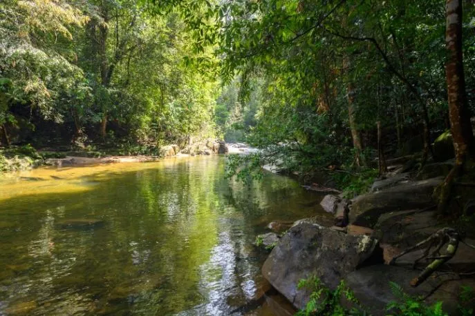 sinharaja nationaal park