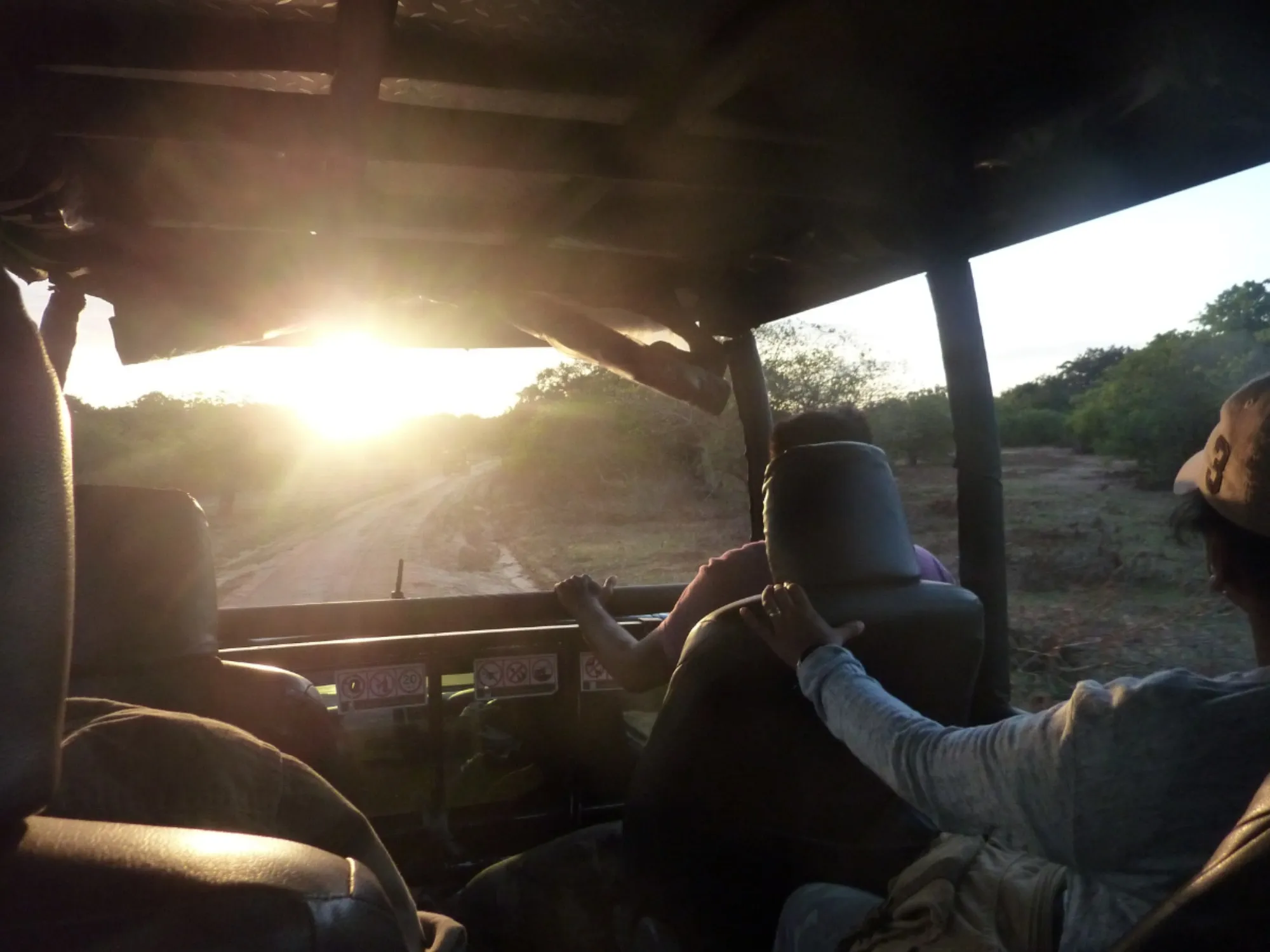 Yala national park safari