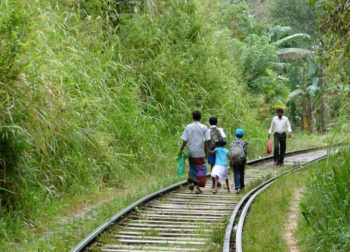 Sri Lanka trein nuwara eliya ella locals