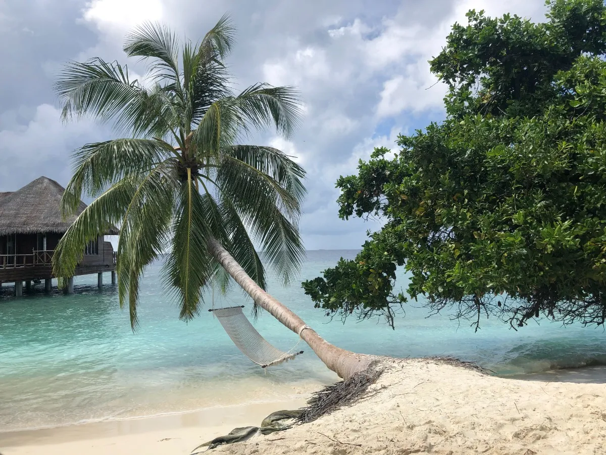 Malediven sri lanka zee strand palmboom