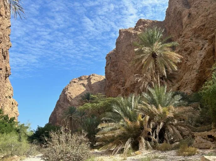 wadi shab oman dimsum reizen 3