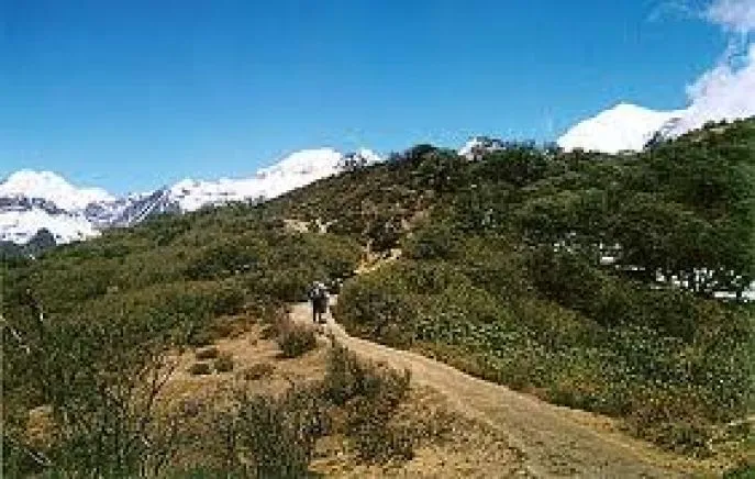 sikkim dzongri trek