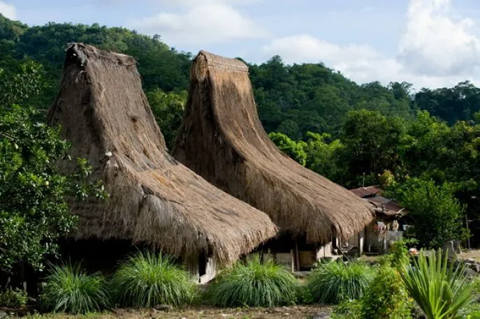 monivillage