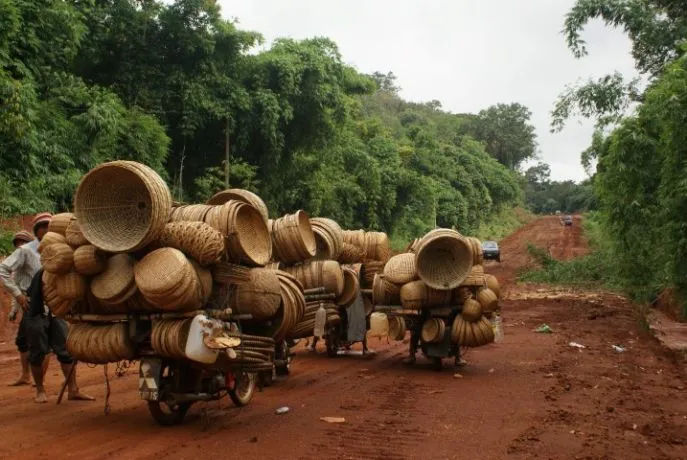 dimsum reizen op avontuur door cambodja mondulkiri