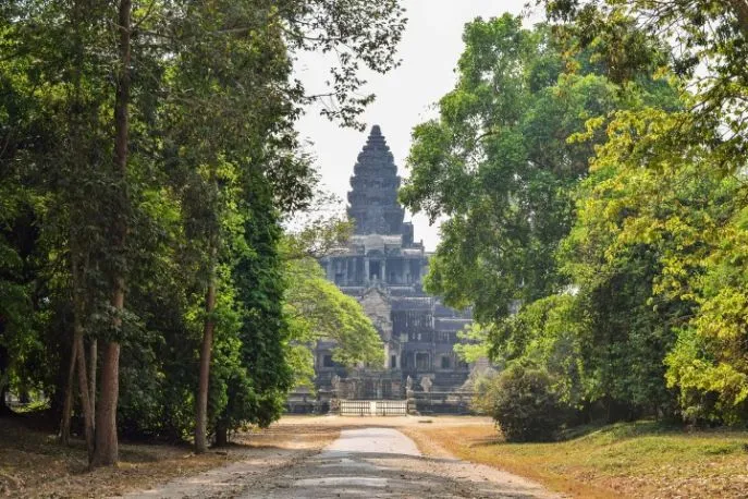 siem reap angkor wat dimsum