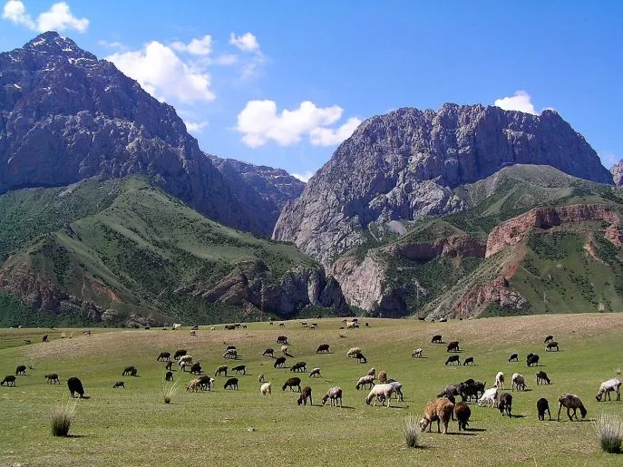 10 kirgizstan onderweg naar osh