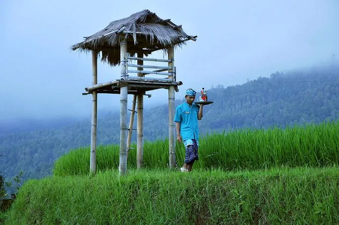 puri lumbung munduk dimsum reizen