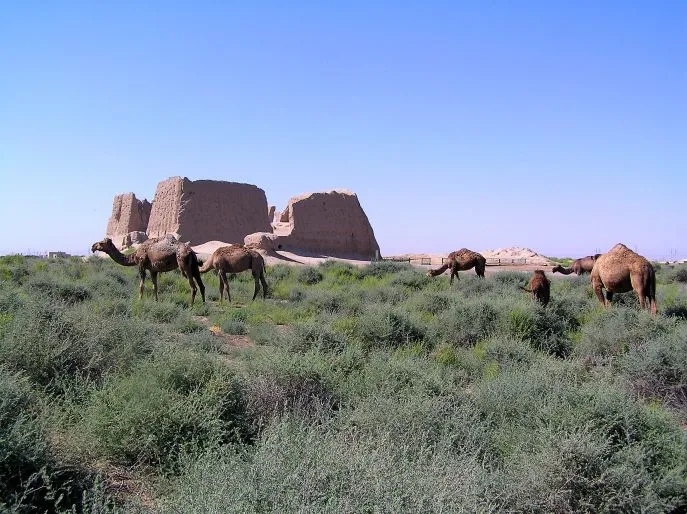 11 dismum compleet turkmenistan merw
