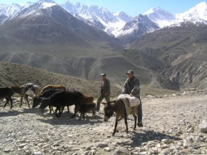 97 kargushpas tajikistan1