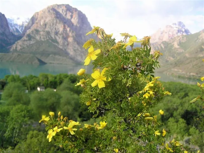 043 tajikistan iskander kul
