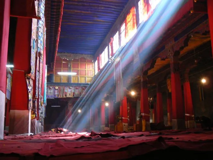 tibet sera