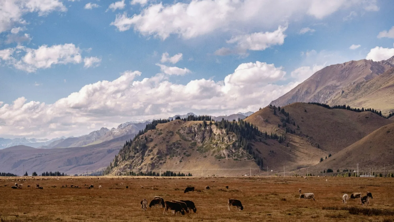 Duku Highway