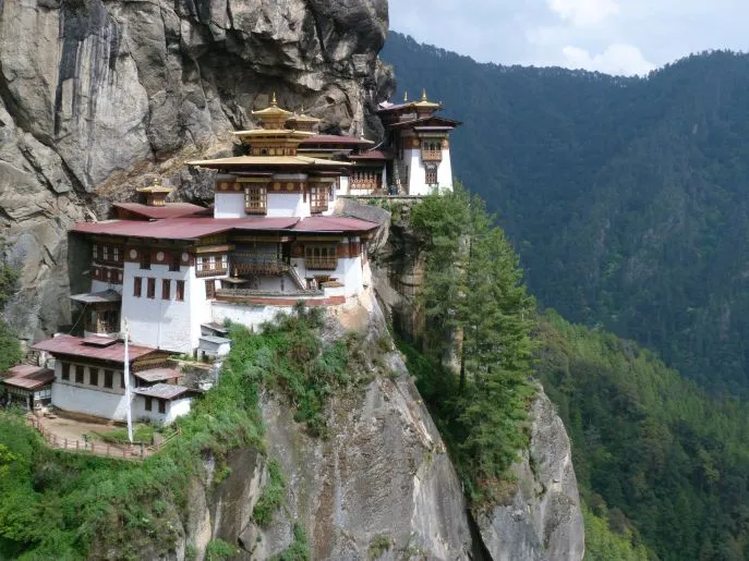tigers nest 3