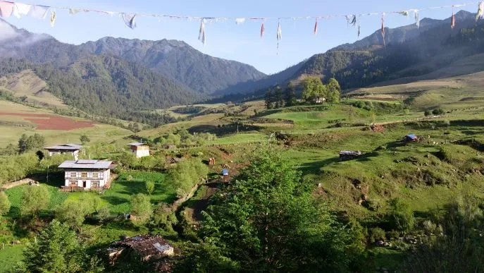 dimsum reizen tang vallei bhutan