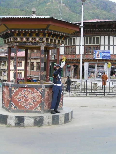 dimsum thimpu