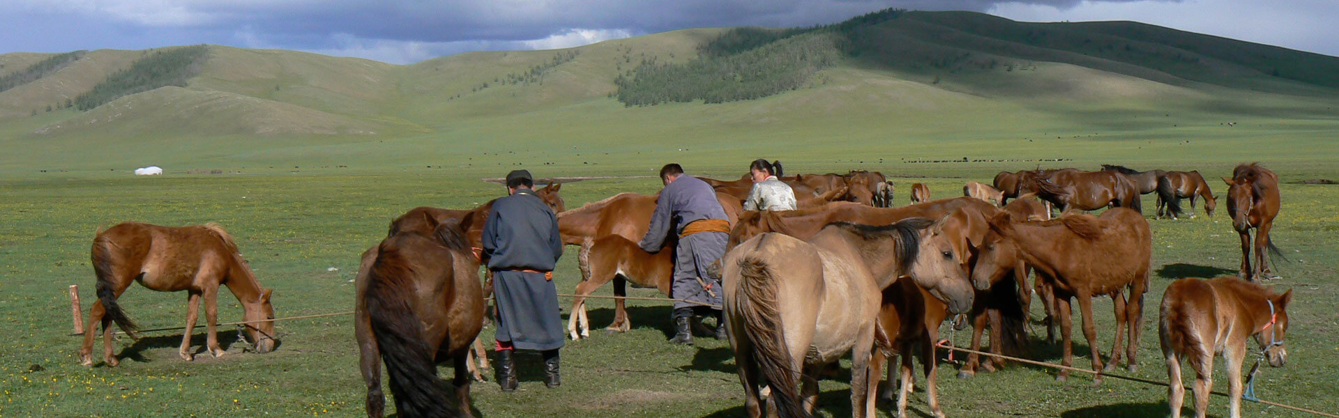 Mongolei Naturparks und Klöster Reise