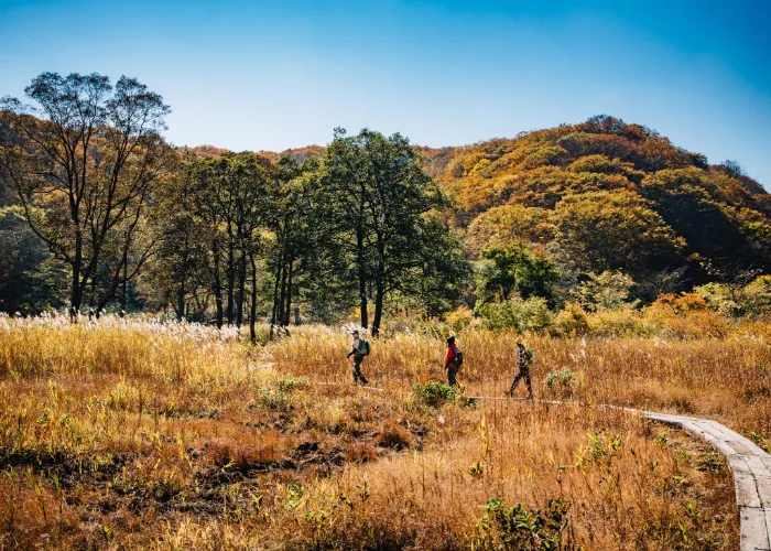 Sfeerafbeelding japan-aktivreise