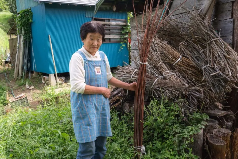 Sfeerafbeelding iiyama nagano groot