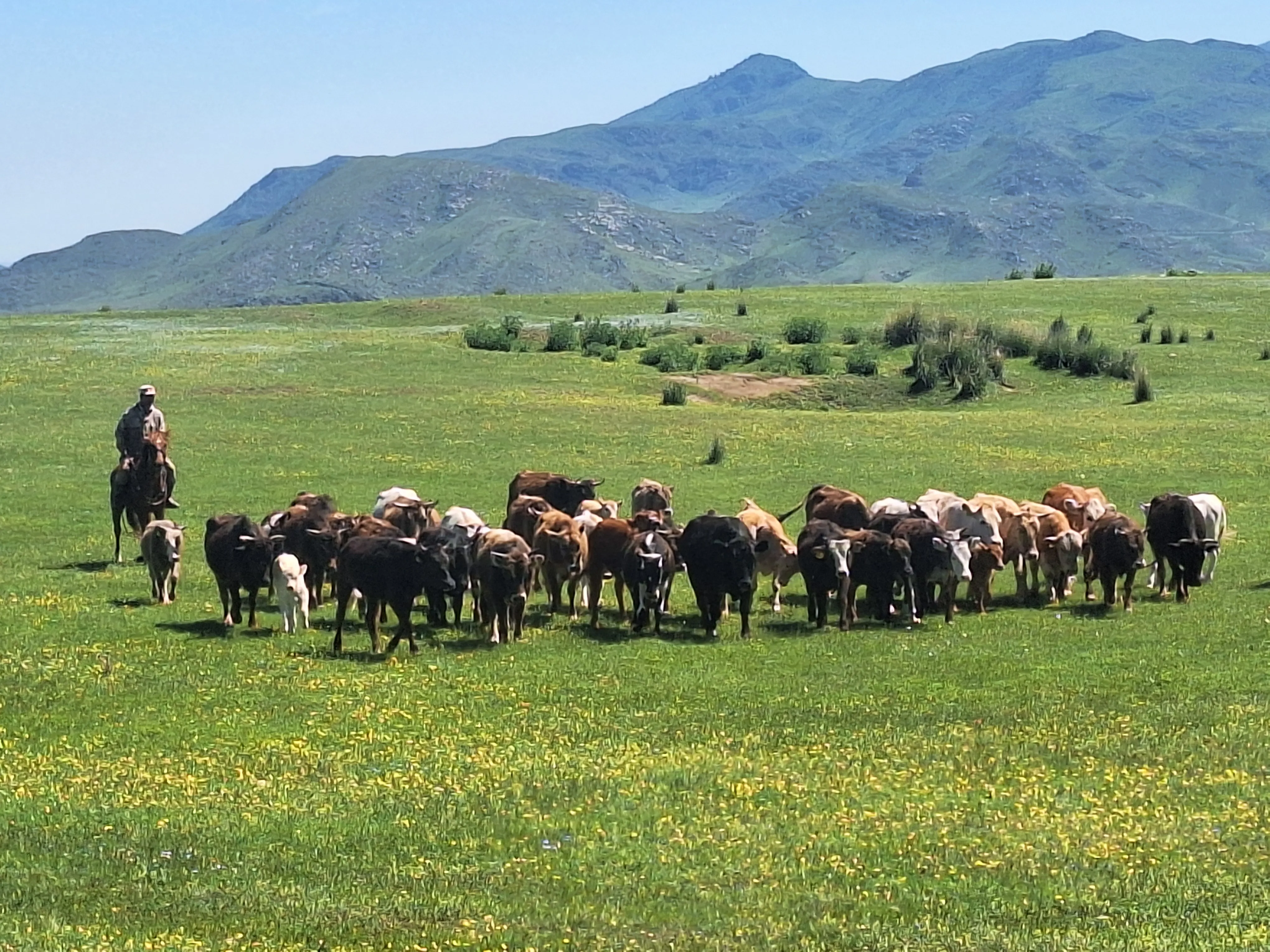 Sfeerafbeelding Kazachstan-Naturreise