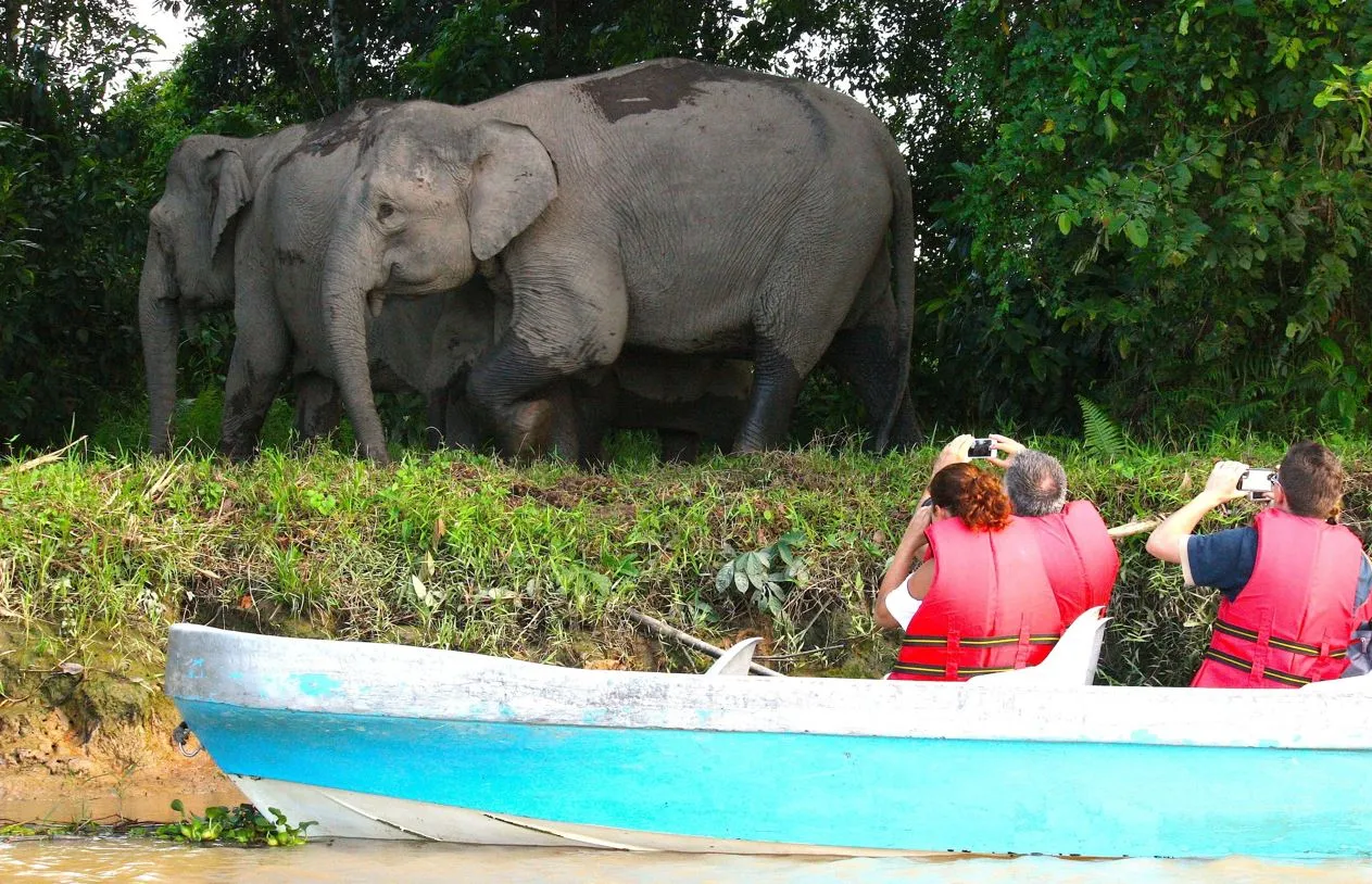 Sfeerafbeelding rundreise-borneo-komplett