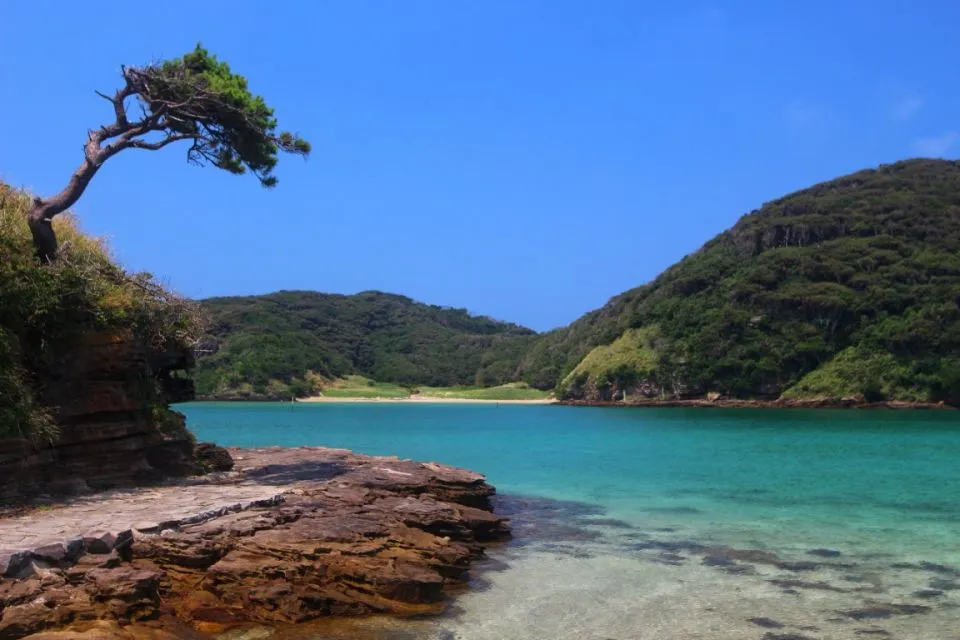 Sfeerafbeelding dimsum reizen iki island japan middel