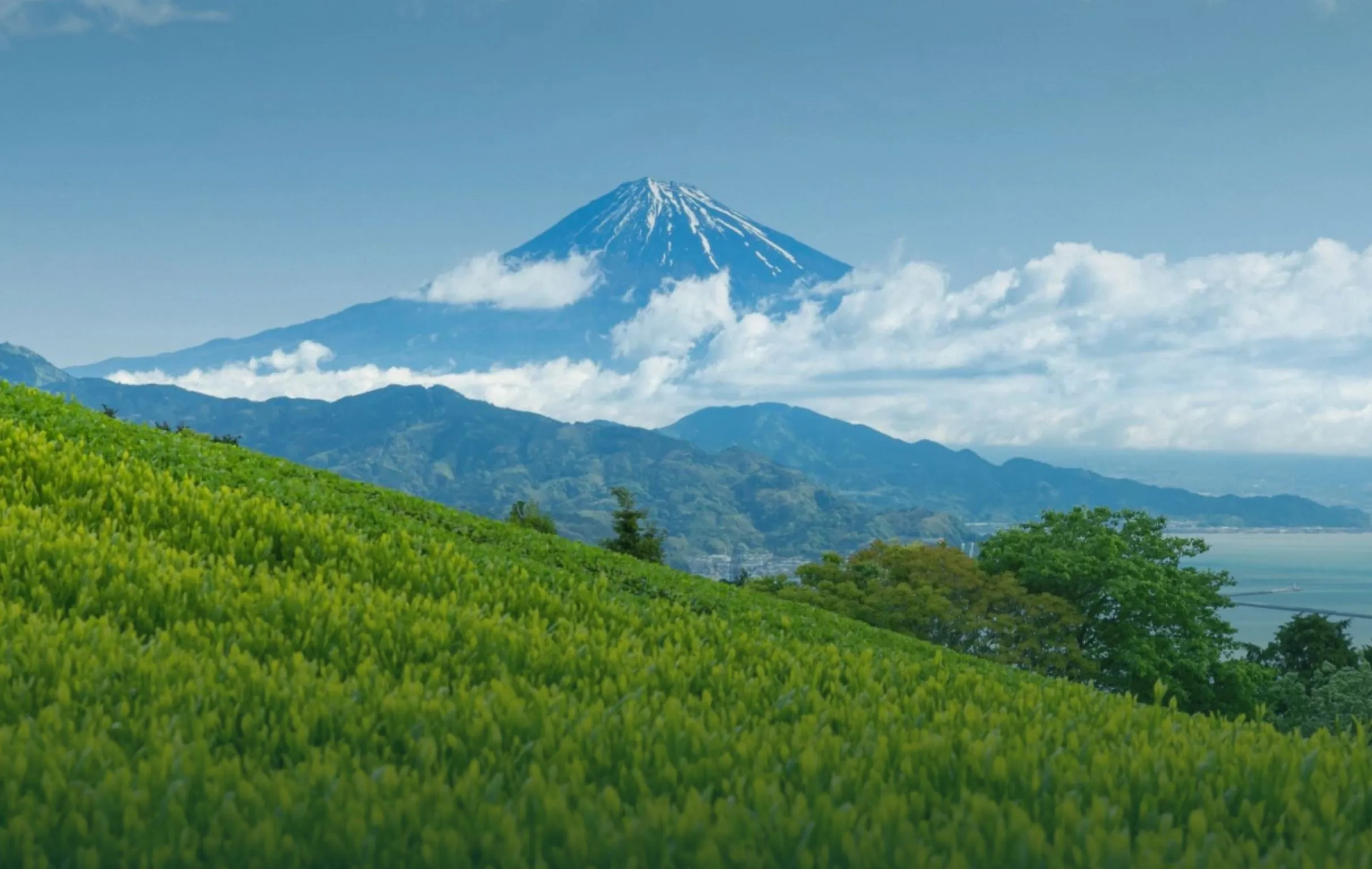 Sfeerafbeelding Suruga%20Japan%20theeregio%20Dimsum%20Reizen