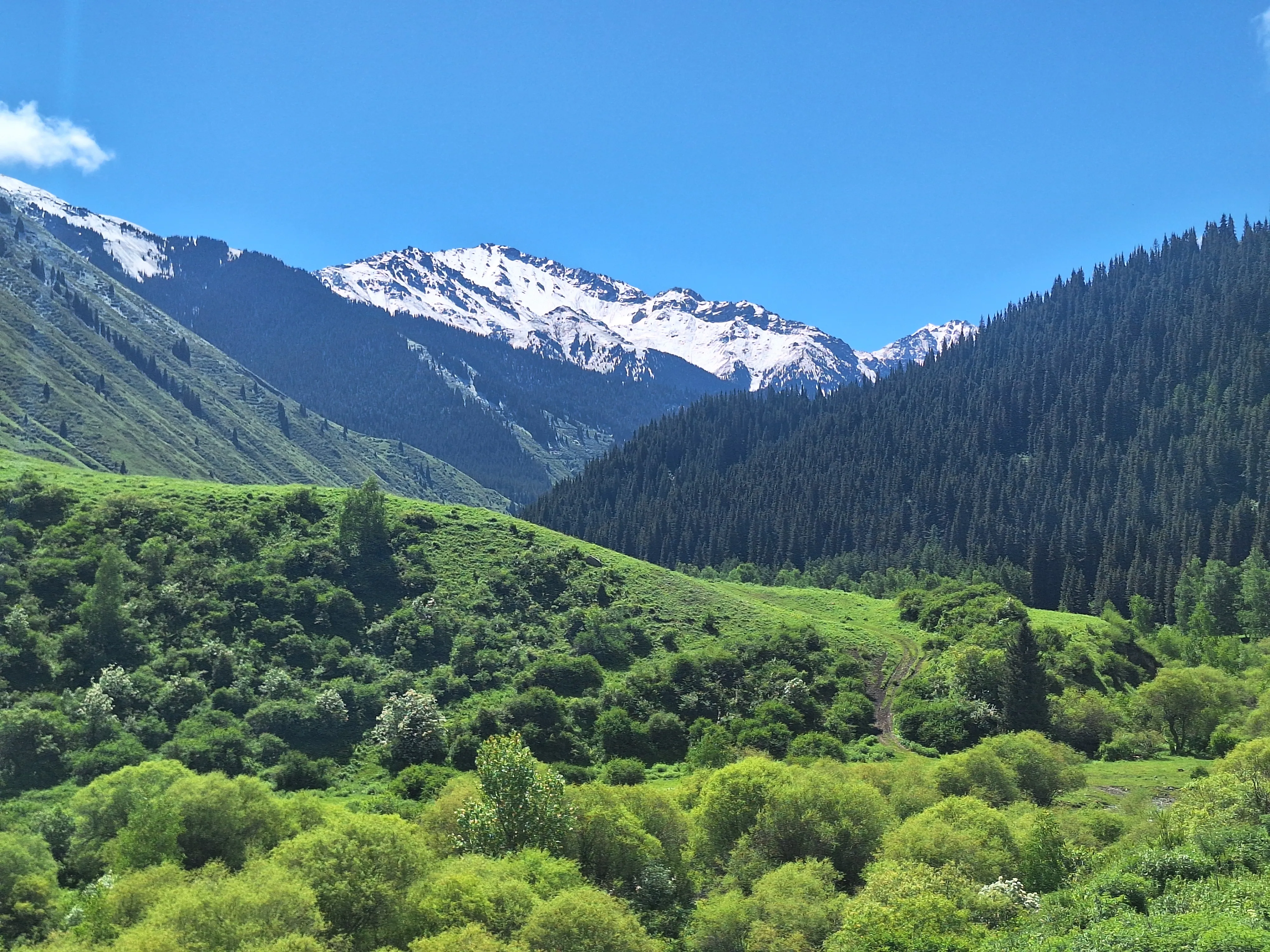 Sfeerafbeelding Saty-Kol-Sai-Kayindi-lakes