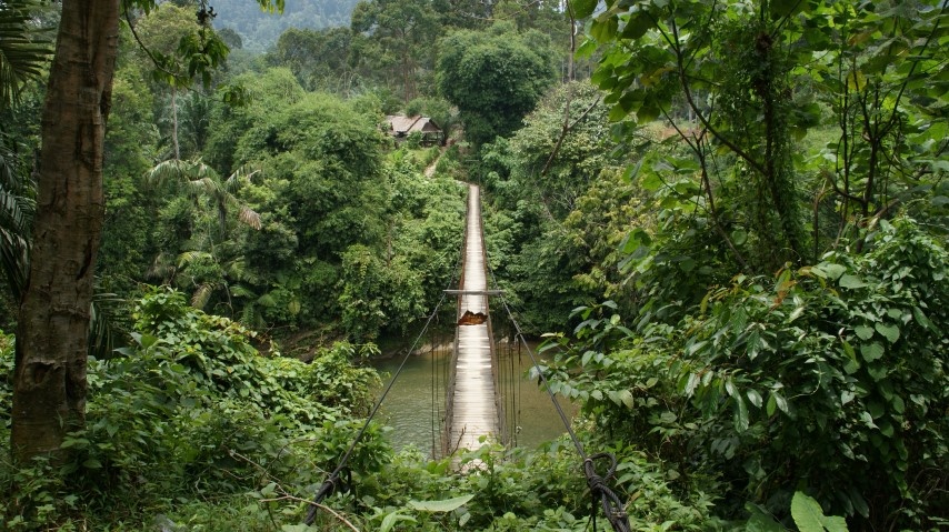 Sfeerafbeelding sumatra-malaysia