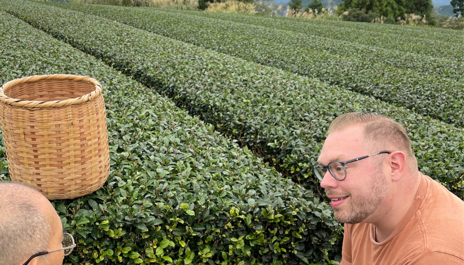 Sfeerafbeelding teeregion-matcha-shizuaka